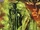 Skaar (Earth-616) from World War Hulk Vol 1 5 001.jpg