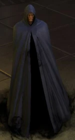 Marvel Heroes (Earth-31690)