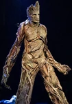 Groot