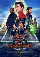 Spider-Man Far From Home poster 013