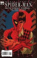 Spider-Man: With Great Power... #1 (March, 2008)