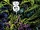 Annihilus (Earth-52635) from Superior Avengers Vol 1 4 001.jpg