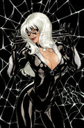 Black Cat #2 Hidden Gem Variant