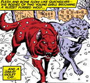 On a walk with Catseye From New Mutants #39