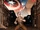 Captain America Vol 13
