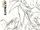 Marvel Artist Edition Vol 1 9: Ultimate X-Men - Artist Edition