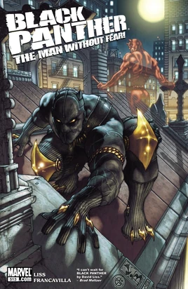 Black Panther The Man Without Fear Vol 1 513