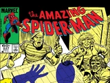 Amazing Spider-Man Vol 1 247