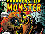 Frankenstein Vol 1 11