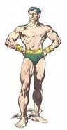 Namor McKenzie (Earth-616) from Official Handbook of the Marvel Universe Vol 1 11 0001