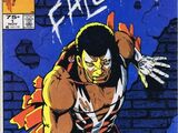 Falcon Vol 1 1