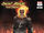 Ghost Rider: Final Vengeance Vol 1 1