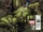 Skaar King of the Savage Land Vol 1 3.jpg