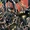 Adolf Hitler Clones (Earth-12091)