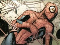 Spider-Man was killed by Norman Osborn at Empire State University (Earth-TRN1191)