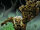 Sabretooth Vol 4 4