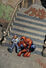 Peter Parker Spider-Man Vol 1 35 Textless