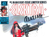 Elektra Assassin Vol 1 1