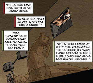 Cat in store the box theory