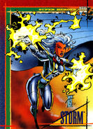 Ororo Munroe (Earth-616) from Marvel Universe Cards Series IV 0001