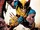 Wolverine Revenge - Red Band Vol 1 1 Virgin Variant.jpg