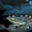 Aquarius Base
