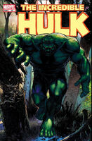 Incredible Hulk Vol 2 88