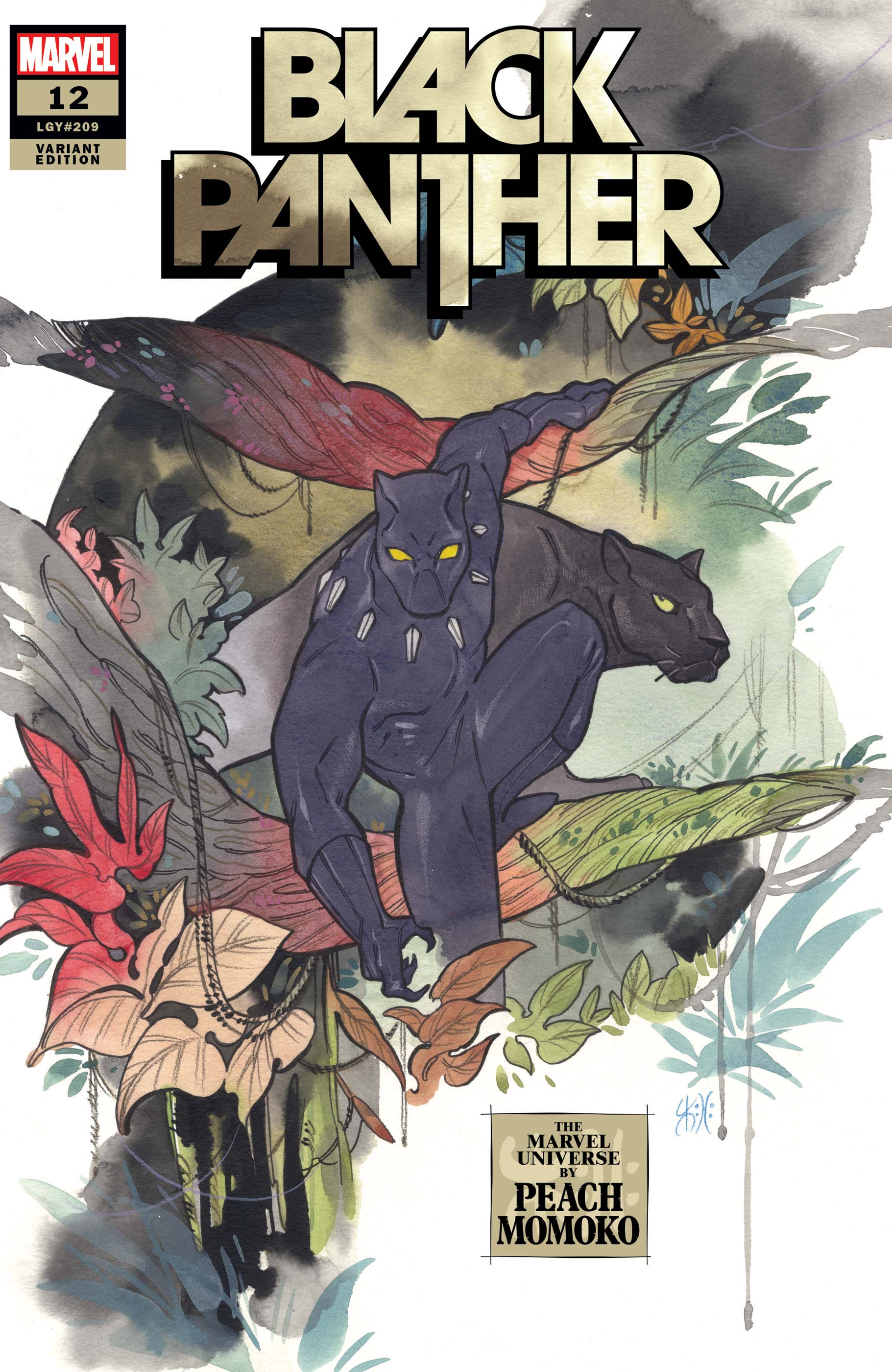 Black Panther Vol 8 12 | Marvel Database | Fandom