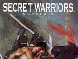 Secret Warriors Vol 1 3