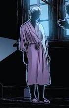 Home to Spider-Kid (Earth-218)