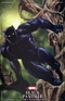 Black Panther Vol 8 3 Marvel Masterpieces Variant