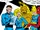 Fantastic Four (Earth-80219)