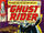 Ghost Rider Vol 1 3