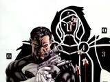 Punisher Vol 8 2