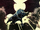 Demon Bull (Earth-616) from Kull the Conqueror Vol 3 3 001.png