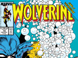 Wolverine Vol 2 19