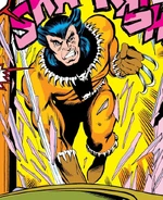 James Howlett (Earth-616) from Iron Fist Vol 1 15 0001