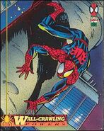 The Amazing Spiderman: 1st Edition (Trading Cards)