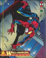 The Amazing Spiderman: 1st Edition (Trading Cards)