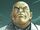 Wilson Fisk (Earth-TRN563)