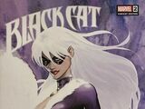 Black Cat Vol 1 2