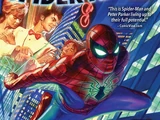 Amazing Spider-Man: Worldwide TPB Vol 1 1
