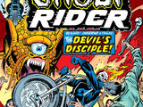 Ghost Rider Vol 2 8