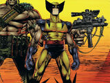 Deathblow / Wolverine TPB Vol 1 1