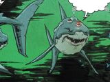 Bruce (Shark) (Earth-616)