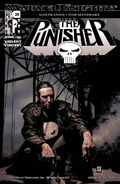 Punisher Vol 6 #24 "Up Is Down and Black Is White, Conclusion" (October, 2005)