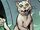 Tabby (Earth-616)