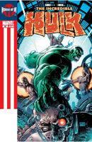 Incredible Hulk Vol 2 86