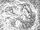 Peter Parker, The Spectacular Spider-Man Vol 1 132 Pencils.jpeg