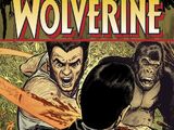 Wolverine: Agent of Atlas Vol 1 2